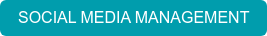 SOCIAL MEDIA MANAGEMENT