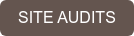 SITE AUDITS