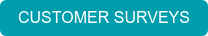 CUSTOMER SURVEYS