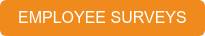 EMPLOYEE SURVEYS